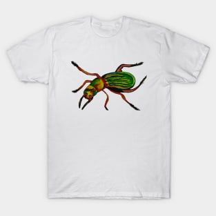 Colorful Insect T-Shirt